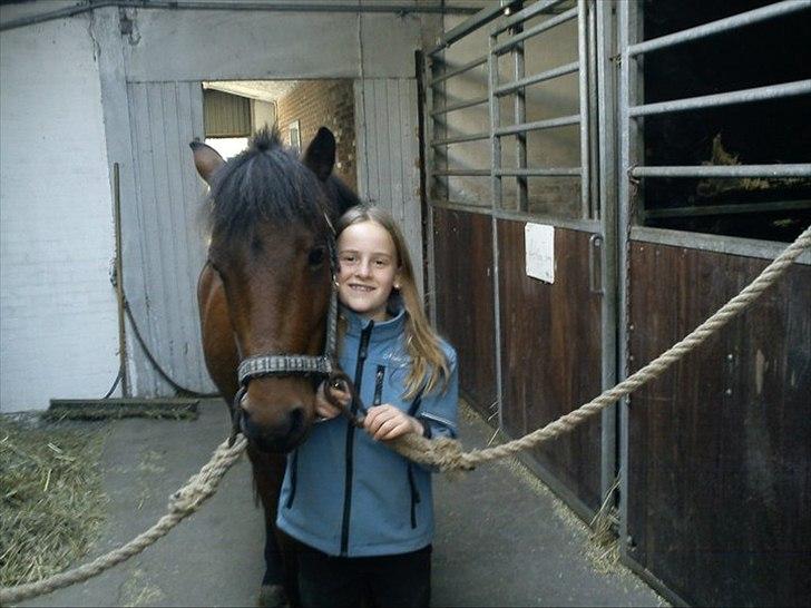 Anden særlig race Thanehøjs Mads - Mig og min pony Mads. billede 4
