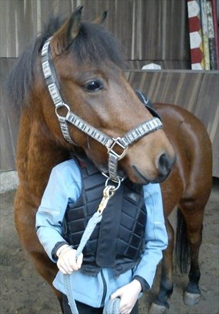 Anden særlig race Thanehøjs Mads - Mads og jeg er bag ved. :-) billede 7