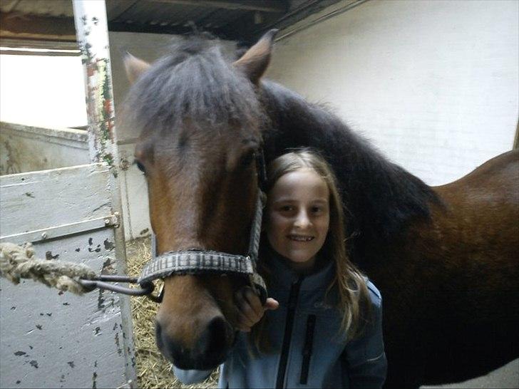 Anden særlig race Thanehøjs Mads billede 8