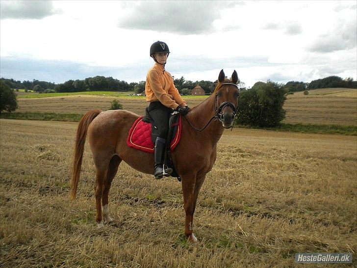 Anden særlig race Isabelle *Min engel* - Jeg elsker dig skat! Jeg vil gøre alt for dig<3 billede 11