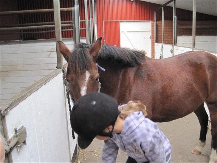 DSP Bæklunds Tabita billede 3