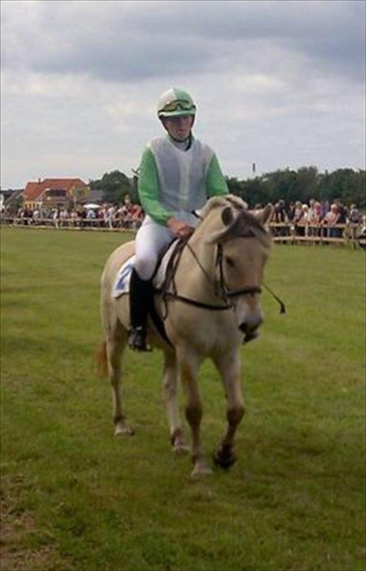 Anden særlig race Cronk - Skolehest - Pandrup Væddeløb 2008 billede 1