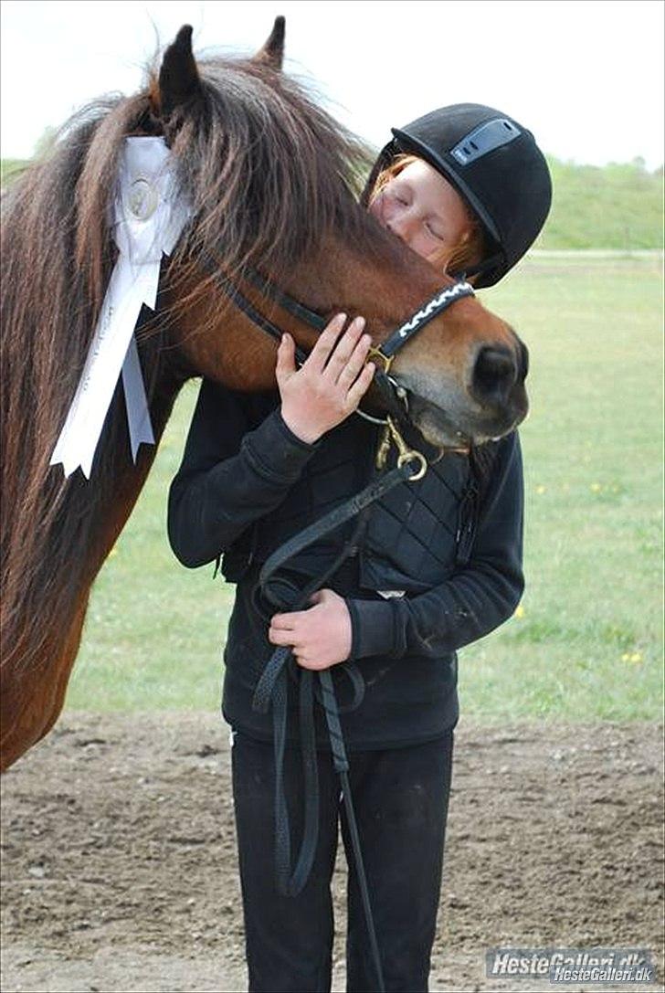 Islænder Katla fra Grastenhus - You walked in, when my whole world walked out <3  billede 7