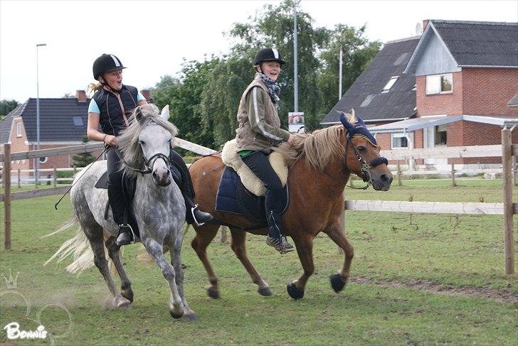 Anden særlig race Bonnie - © Foto-Moef | super skøn ridedag med Bonnie, Elvis og Maja. ;o) billede 2