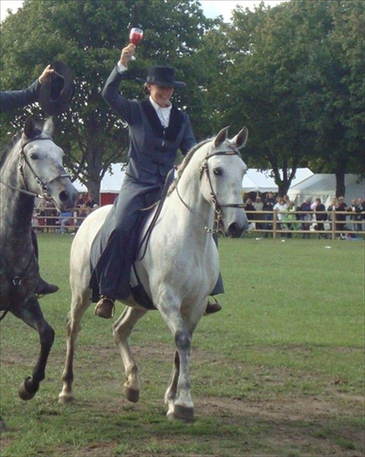 Lusitano Vento - Vento og Kamilla Kuld til Store Hestedag billede 9