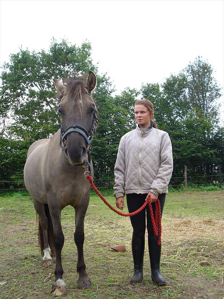 Anden særlig race Skovbjerggaards Astucia - en dag hvor jeg lige trænede lidt med tøsen :D billede 7