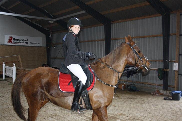 Hollandsk Sportspony Daisy - Lige inden vi skal på banen.. billede 10