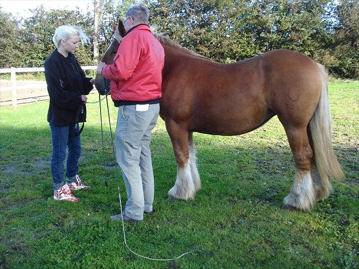 Jyde Camilla Af Aggersgård - Revsø 2010 billede 14