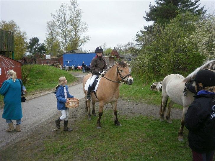 Anden særlig race bispevangens tyson billede 1