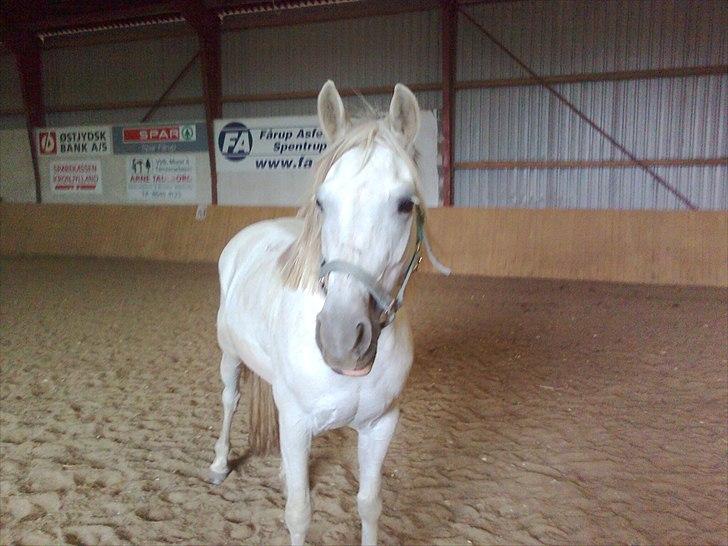 Anden særlig race Yasmin!<3  - Velkommen til Yasmin´s profil ;D (Foto: Mig) billede 3