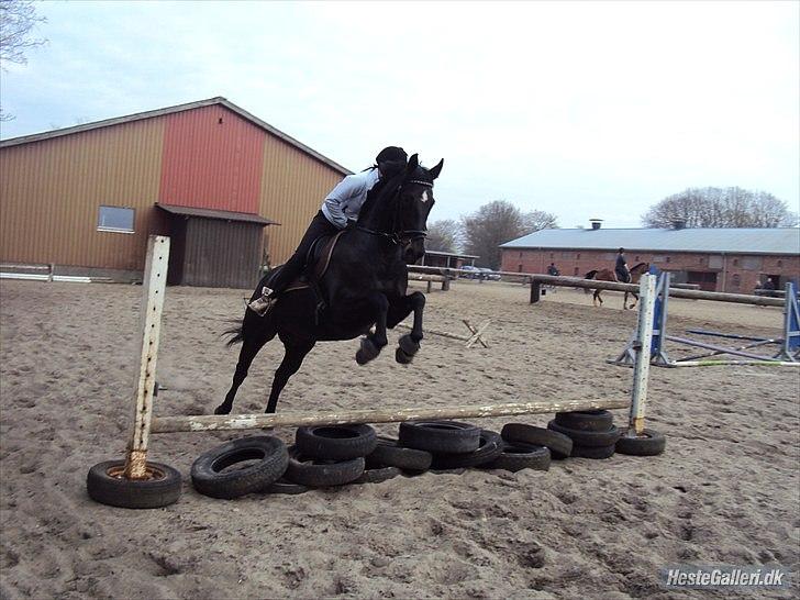 Oldenborg Maybe  billede 6