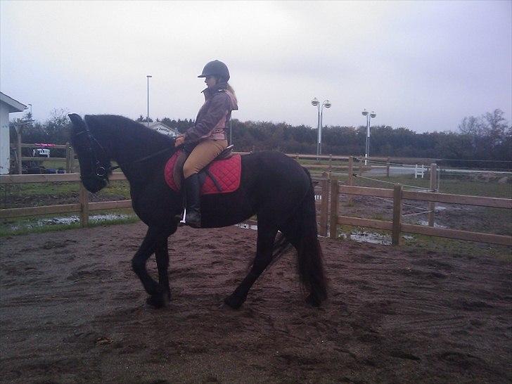 Frieser Tesse billede 2