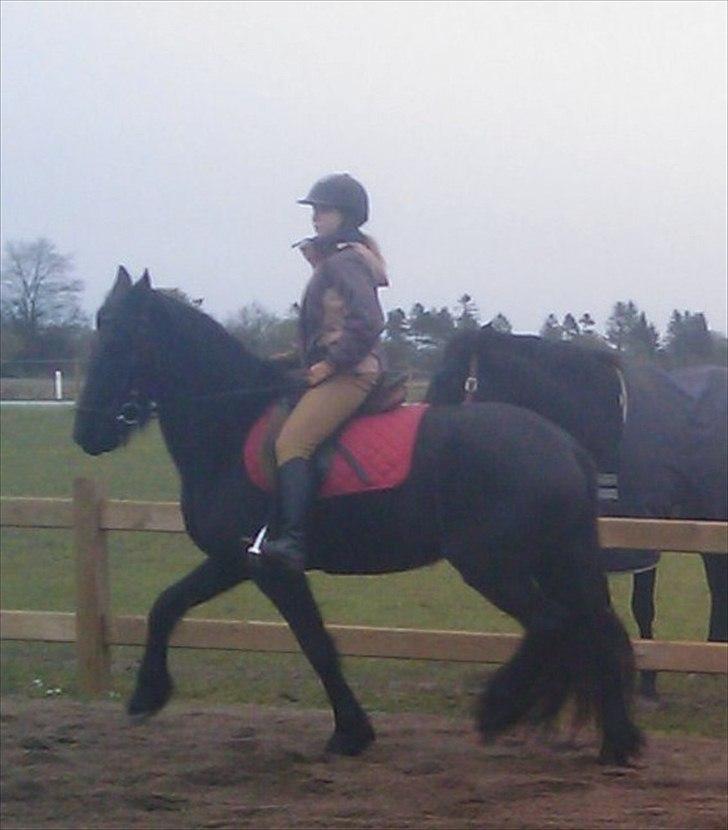 Frieser Tesse billede 5