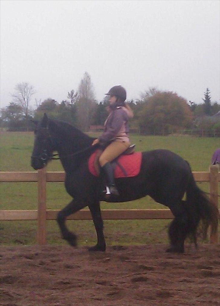 Frieser Tesse billede 7