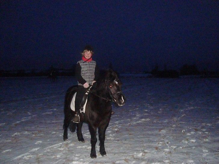 Anden særlig race BlackJack Er desvære i Heste Himlen - Koldt at ride i det vejr billede 5