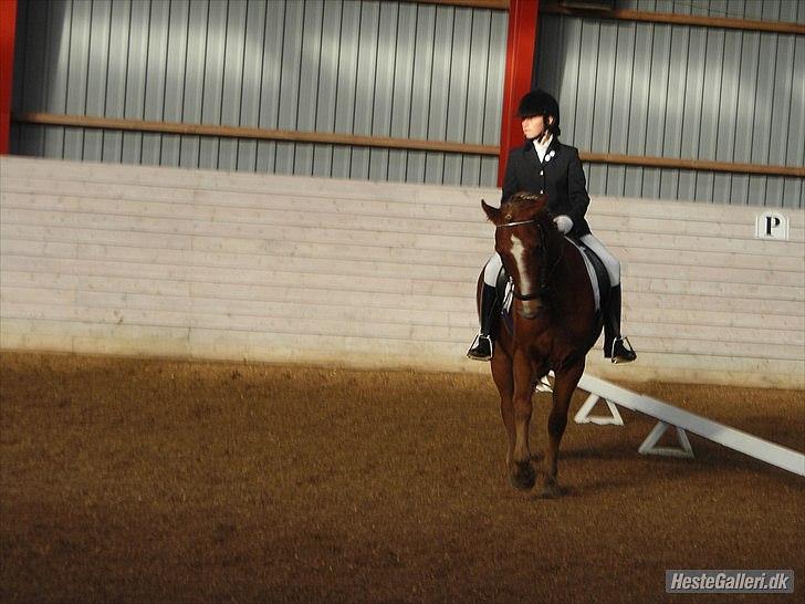 DSP Robin - Til vores første stævne på RSR4 :) billede 13