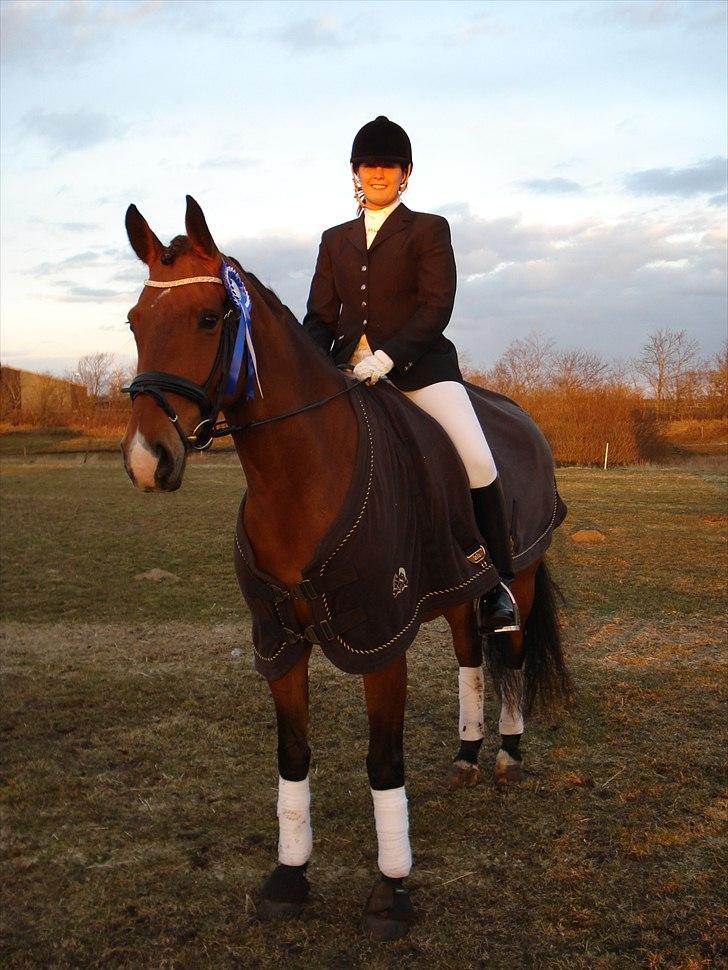 Dansk Varmblod Bakkegaardens Anemone - Skjern billede 4