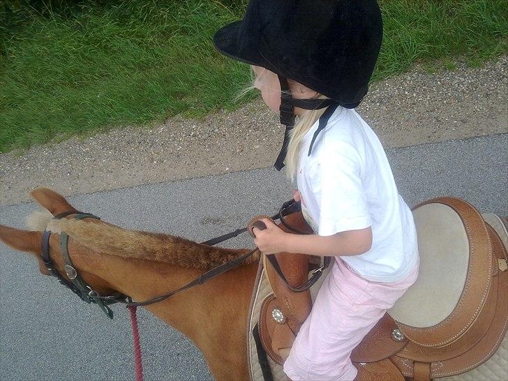 Anden særlig race Blis *Sov godt min pige* - Så går det hjem fra børnehaven billede 16