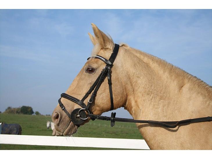 {{currentPhoto.altText}} billede {{currentPhoto.number}}