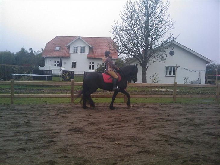 {{currentPhoto.altText}} billede {{currentPhoto.number}}