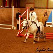 Anden særlig race Snehvide