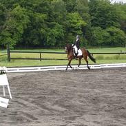 DSP Moonbeam - solgt, r.i.p