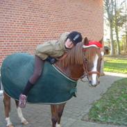 Anden særlig race Fryd