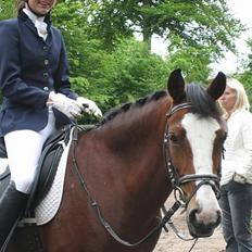 Anden særlig race Miss Put