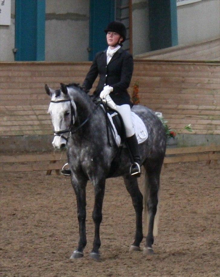 Anden særlig race Le-Cis  - 19) Lusen og jeg i Sønderborg okt. 2010 billede 10