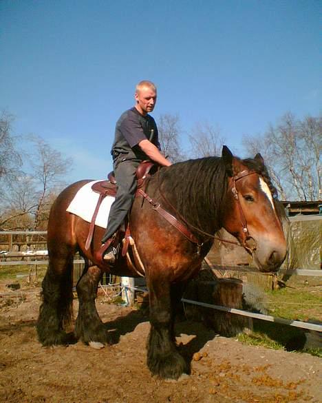 Jyde Mattias (Solgt) billede 4