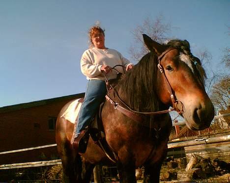 Jyde Mattias (Solgt) billede 5