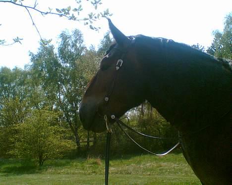 Jyde Mattias (Solgt) - Den dag jeg var med i skoven  og ved vandet for første gang.... billede 6