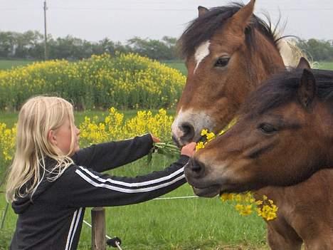 Anden særlig race Laban  - Mig og mor får blomster :D billede 19