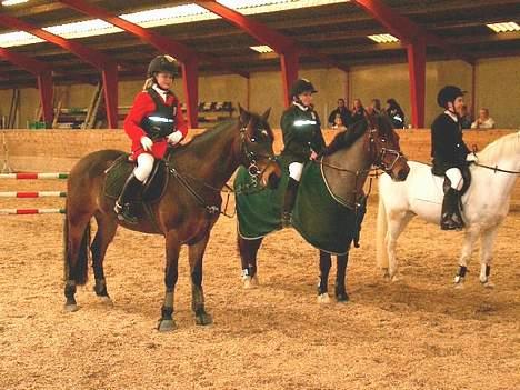 Anden særlig race Shannon (R.I.P) billede 12