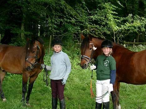 Anden særlig race Shannon (R.I.P) billede 14