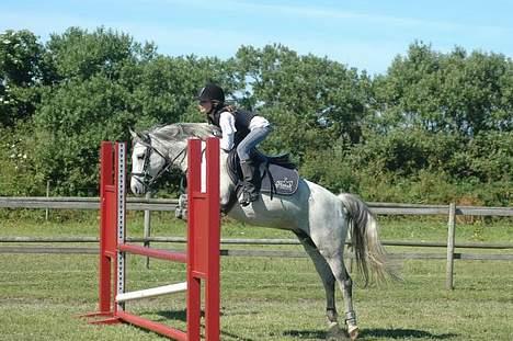 DSP Stidsbjergs Tabitta - Her springer vi 80-90 ..<3 billede 12