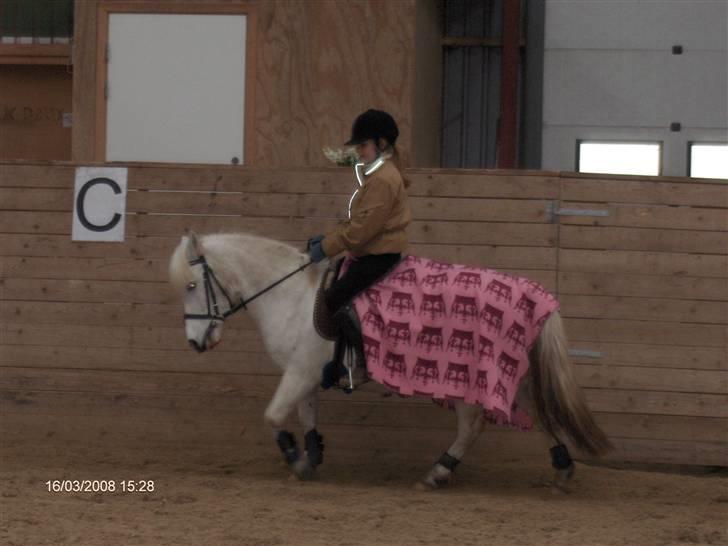 Anden særlig race Snehvide - Min sidste tur på snehvide /; <3 jeg elsker den pony billede 15