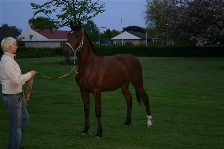 Anden særlig race Doktorgårdens Kianti - Så er jeg blevet stor og lækker billede 1