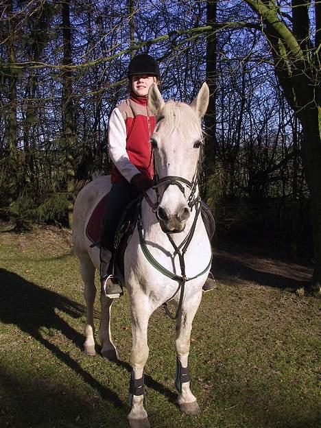 Anden særlig race Shadow(død) billede 13