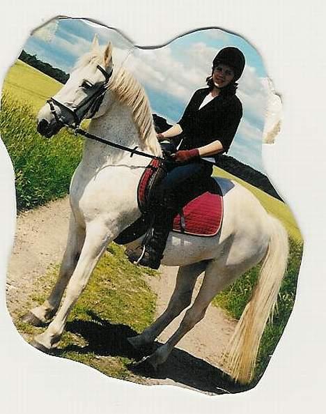 Anden særlig race Shadow(død) billede 14