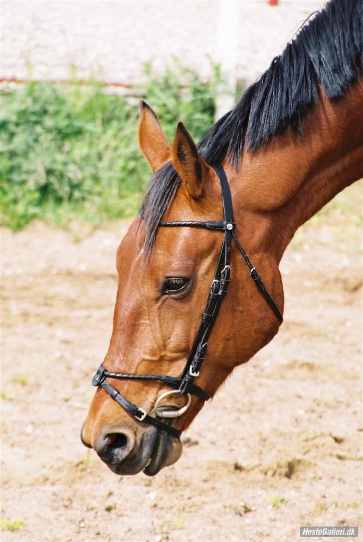 Traver La Cour *R.I.P* - <3 billede 10