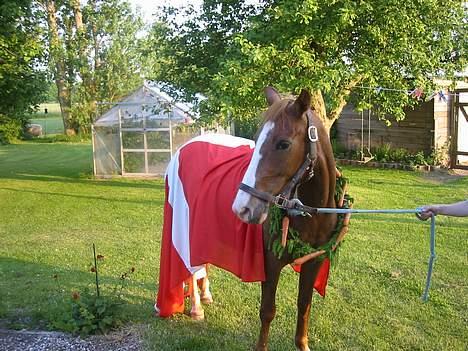 Anden særlig race | Fie † 2005 †  «3  billede 14