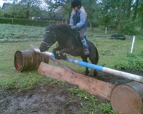 Anden særlig race Kalle - kalle og sabine hopper 70 cm billede 18