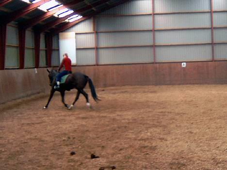 Traver Crystal c (Solgt)  - (nr 4)Jeg ved at det er svært at se men crys går faktisk rigtig godt her. billede 4