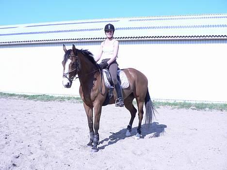 Fuldblod (XX) nadine - Mig og min smukke hest billede 6