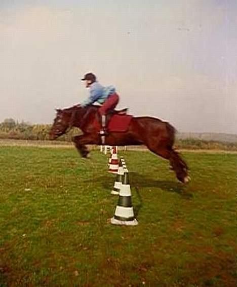 Anden særlig race Tulle - Tulle og Maria, 1997 billede 2
