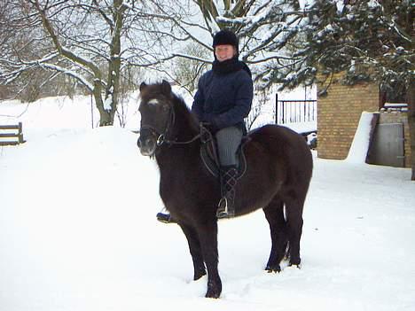 Anden særlig race Tulle - Tulle og Maria, Januar 2006 billede 5