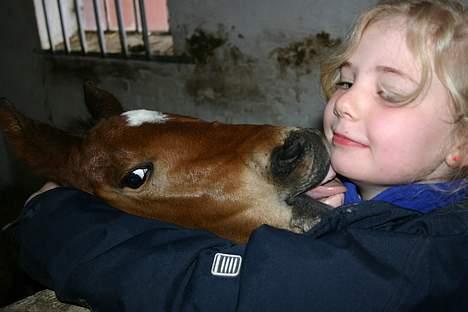 Anden særlig race Doktorgårdens Kianti - NYS NYS billede 14