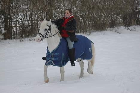 Anden særlig race Sonny*DØD* billede 19