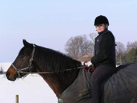 Anden særlig race Unik *DØD*  - Min smukka sne hoppe <´3 .. ( i skal ikk tage jer af mig, smuk er man jo ikk altid :P ) billede 11